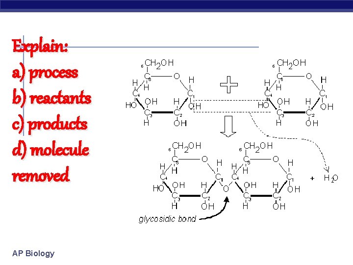 Explain: a) process b) reactants c) products d) molecule removed AP Biology 