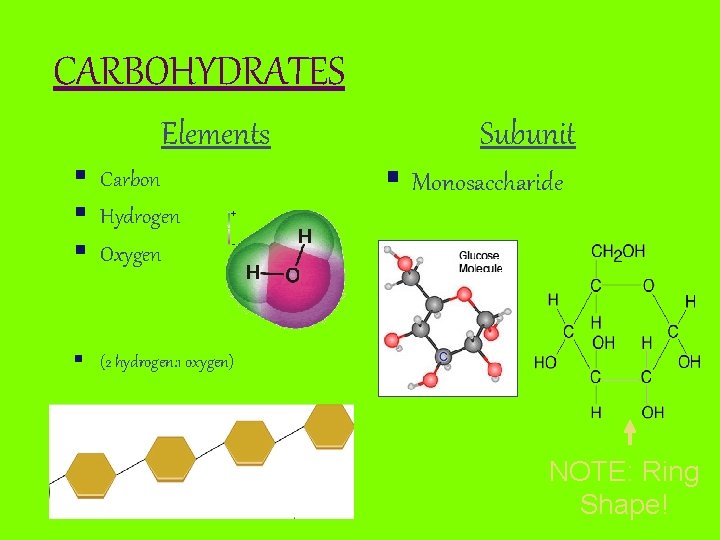 CARBOHYDRATES Elements § Carbon § Hydrogen § Oxygen Subunit § Monosaccharide § (2 hydrogen: