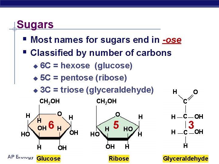 Sugars § Most names for sugars end in -ose § Classified by number of