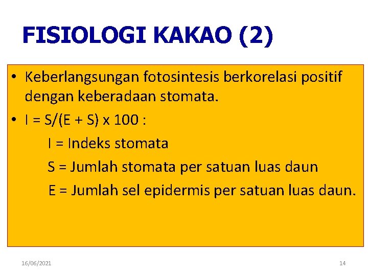 FISIOLOGI KAKAO (2) • Keberlangsungan fotosintesis berkorelasi positif dengan keberadaan stomata. • I =