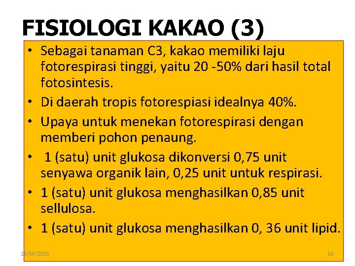 FISIOLOGI KAKAO (3) • Sebagai tanaman C 3, kakao memiliki laju fotorespirasi tinggi, yaitu