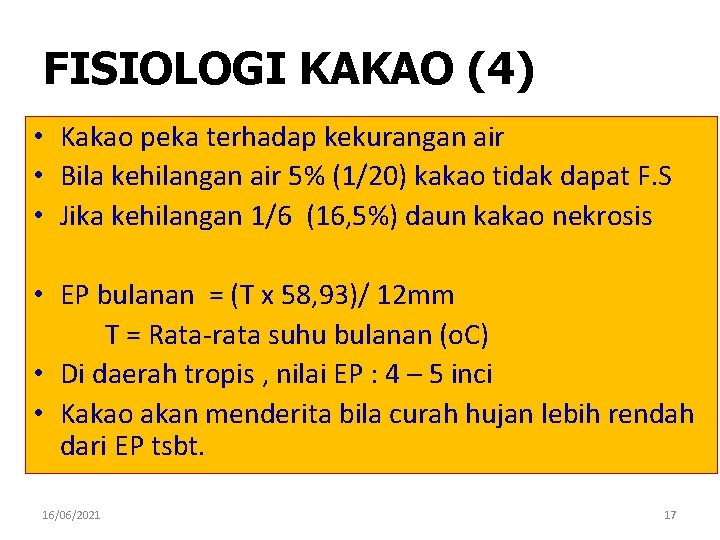 FISIOLOGI KAKAO (4) • Kakao peka terhadap kekurangan air • Bila kehilangan air 5%