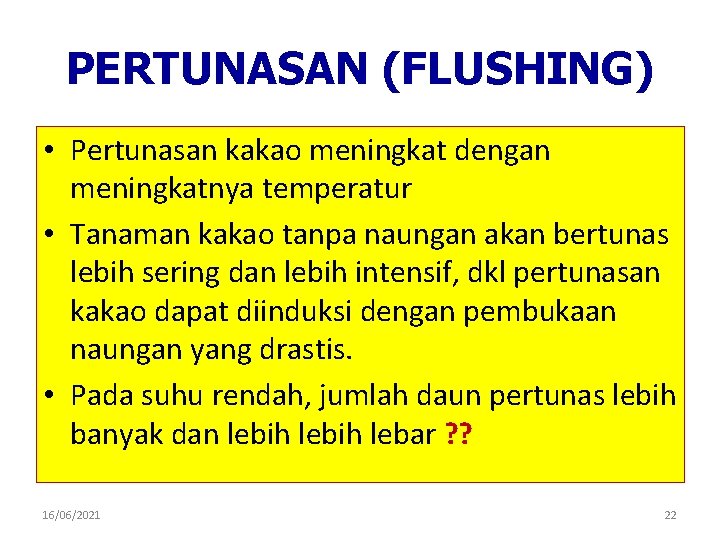 PERTUNASAN (FLUSHING) • Pertunasan kakao meningkat dengan meningkatnya temperatur • Tanaman kakao tanpa naungan