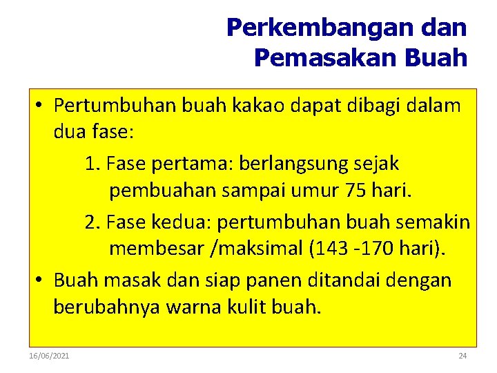 Perkembangan dan Pemasakan Buah • Pertumbuhan buah kakao dapat dibagi dalam dua fase: 1.