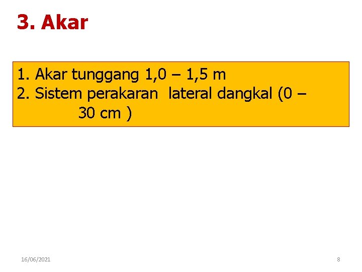 3. Akar 1. Akar tunggang 1, 0 – 1, 5 m 2. Sistem perakaran