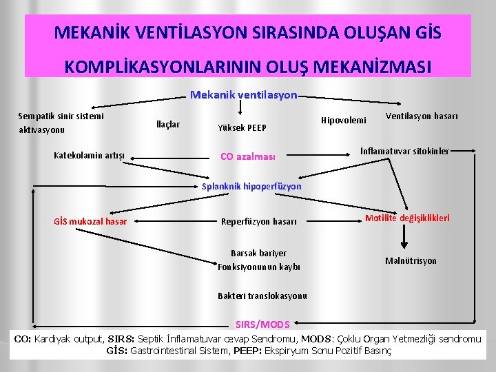 MEKANİK VENTİLASYON SIRASINDA OLUŞAN GİS KOMPLİKASYONLARININ OLUŞ MEKANİZMASI Mekanik ventilasyon Sempatik sinir sistemi aktivasyonu