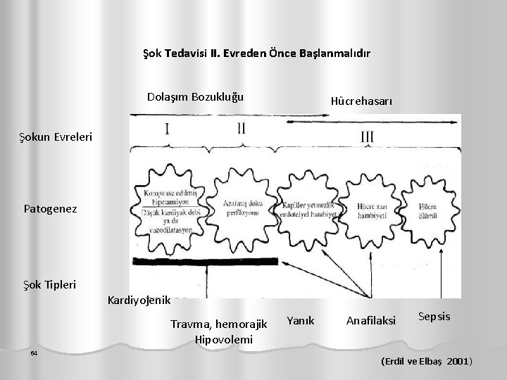 Şok Tedavisi II. Evreden Önce Başlanmalıdır Dolaşım Bozukluğu Hücrehasarı Şokun Evreleri Patogenez Şok Tipleri