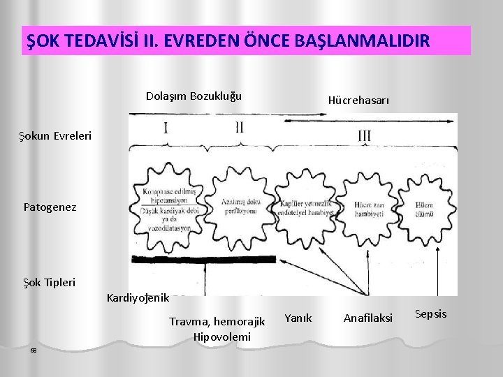 ŞOK TEDAVİSİ II. EVREDEN ÖNCE BAŞLANMALIDIR Dolaşım Bozukluğu Hücrehasarı Şokun Evreleri Patogenez Şok Tipleri