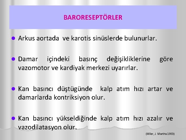 BARORESEPTÖRLER l Arkus aortada ve karotis sinüslerde bulunurlar. l Damar içindeki basınç değişikliklerine vazomotor