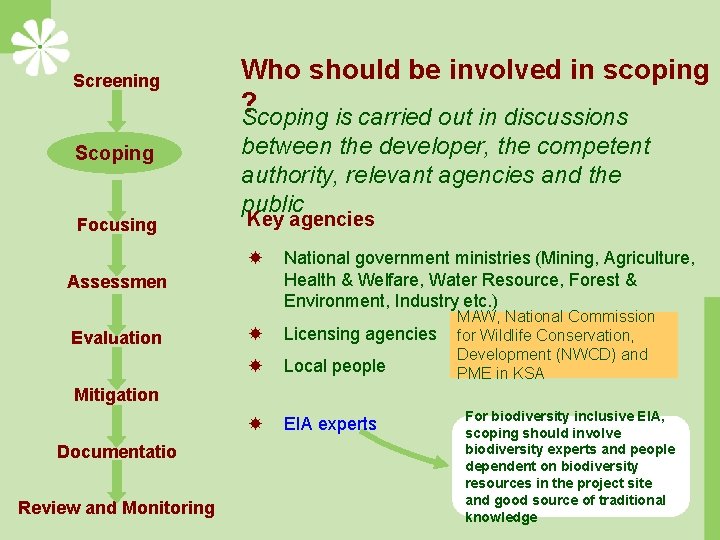 Screening Scoping Focusing Who should be involved in scoping ? Scoping is carried out