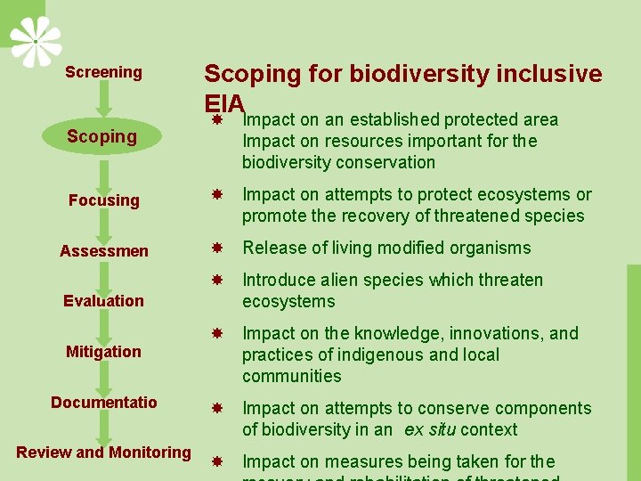 Screening Scoping for biodiversity inclusive EIA Scoping Impact on an established protected area Impact