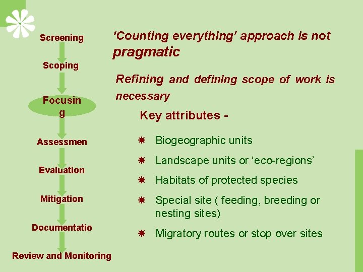 Screening ‘Counting everything’ approach is not pragmatic Scoping Refining and defining scope of work