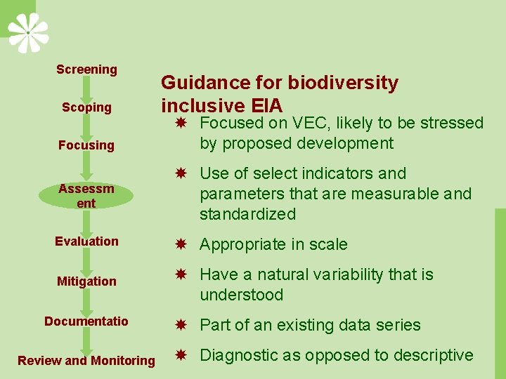 Screening Scoping Focusing Guidance for biodiversity inclusive EIA Focused on VEC, likely to be
