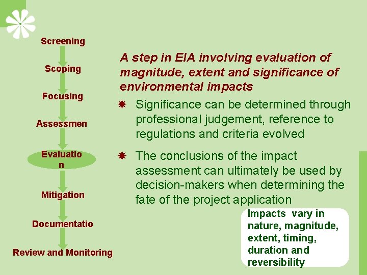Screening Scoping Focusing Assessmen t Evaluatio n Mitigation Documentatio n Review and Monitoring A