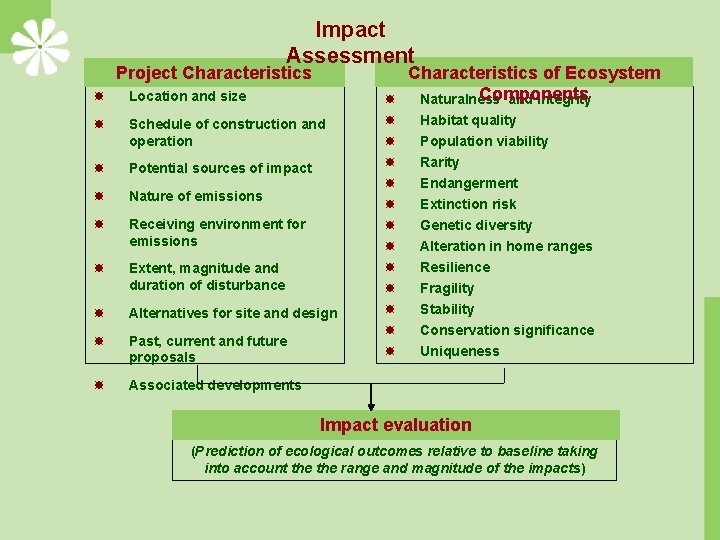 Impact Assessment Characteristics of Ecosystem Components Naturalness and integrity Project Characteristics Location and size