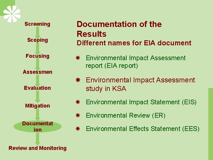 Screening Scoping Focusing Assessmen t Evaluation Mitigation Documentation of the Results Different names for
