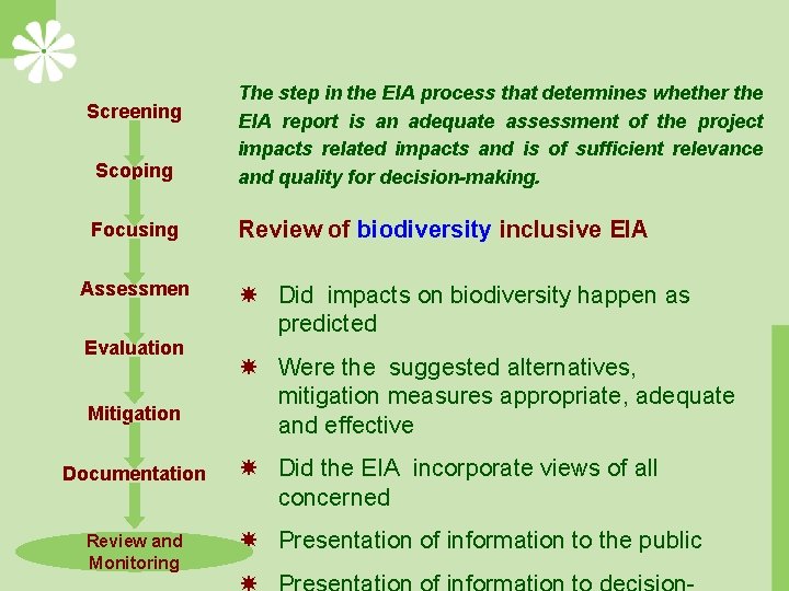 Scoping The step in the EIA process that determines whether the EIA report is