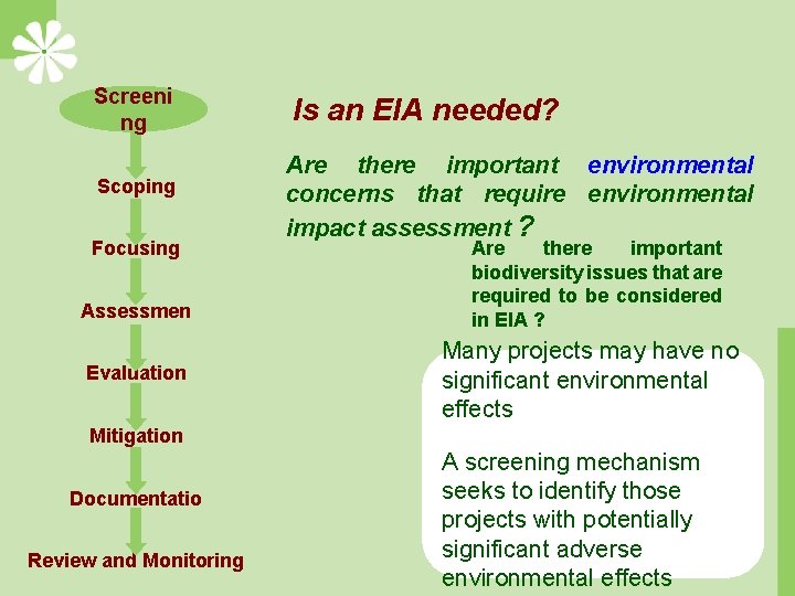 Screeni ng Scoping Focusing Assessmen t Evaluation Is an EIA needed? Are there important