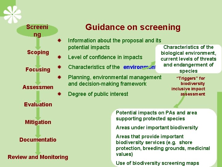 Screeni ng Scoping Focusing Guidance on screening Information about the proposal and its Characteristics