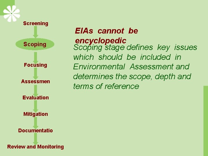 Screening Scoping Focusing Assessmen t Evaluation Mitigation Documentatio n Review and Monitoring EIAs cannot