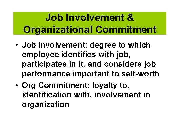 Job Involvement & Organizational Commitment • Job involvement: degree to which employee identifies with