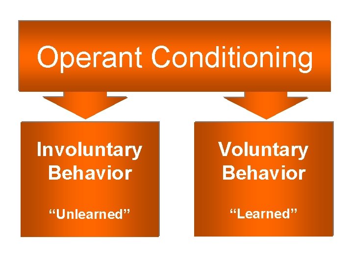Operant Conditioning Involuntary Behavior Voluntary Behavior “Unlearned” “Learned” 