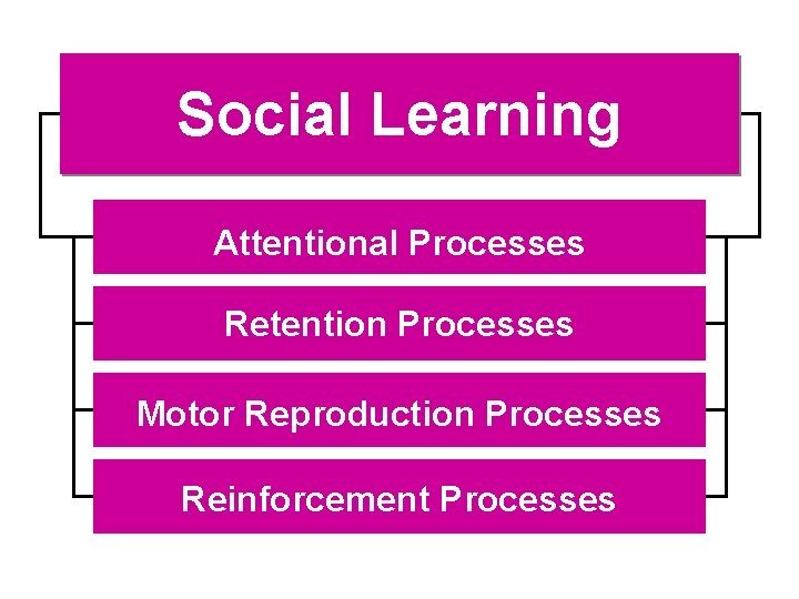 Social Learning Attentional Processes Retention Processes Motor Reproduction Processes Reinforcement Processes 