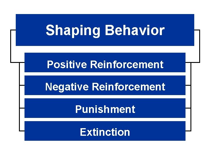 Shaping Behavior Positive Reinforcement Negative Reinforcement Punishment Extinction 