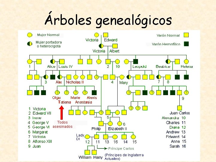 Árboles genealógicos 