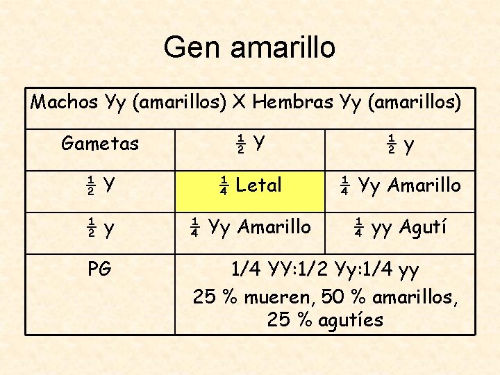 Gen amarillo Machos Yy (amarillos) X Hembras Yy (amarillos) Gametas ½Y ½y ½Y ¼
