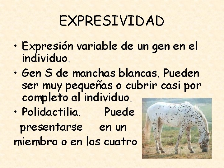 EXPRESIVIDAD • Expresión variable de un gen en el individuo. • Gen S de