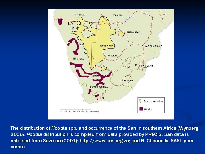 The distribution of Hoodia spp. and occurrence of the San in southern Africa (Wynberg,