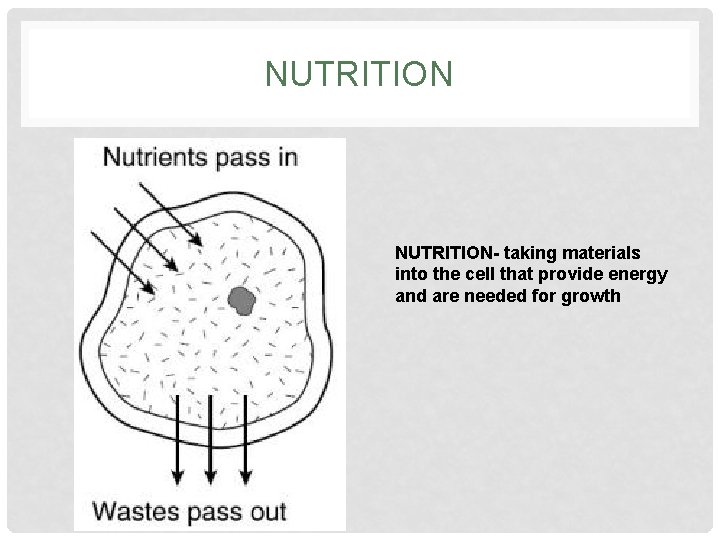 NUTRITION- taking materials into the cell that provide energy and are needed for growth