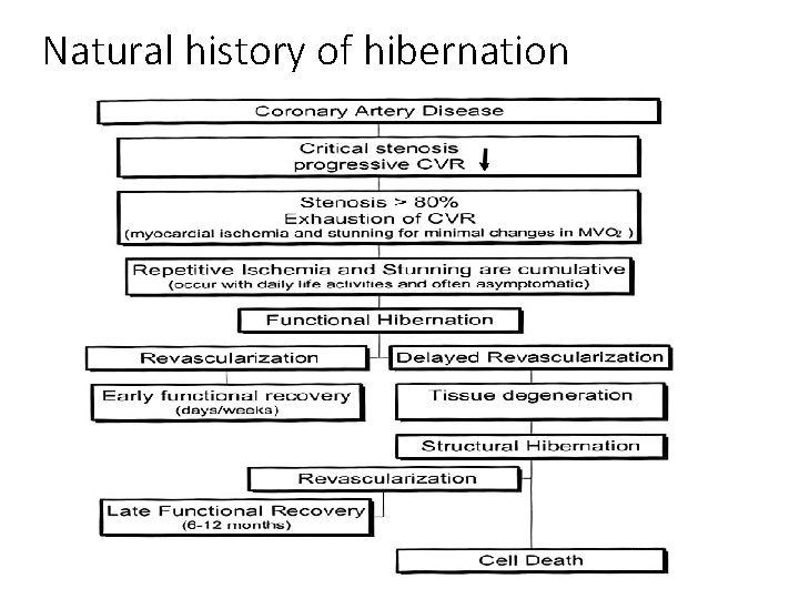 Natural history of hibernation 