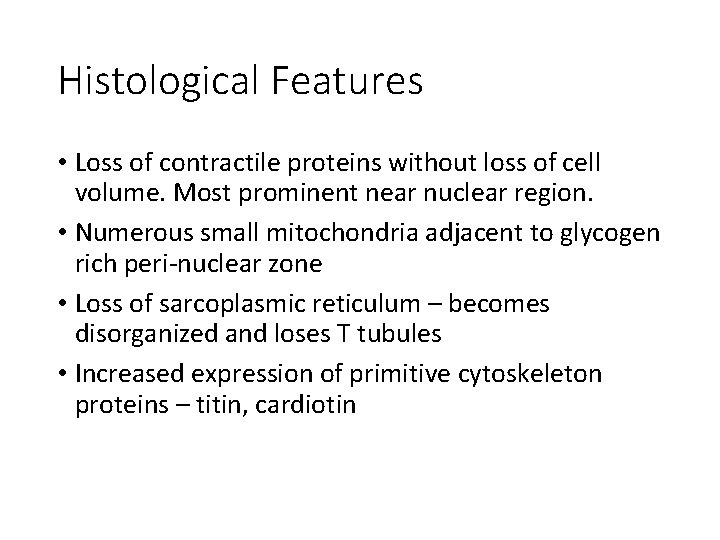 Histological Features • Loss of contractile proteins without loss of cell volume. Most prominent