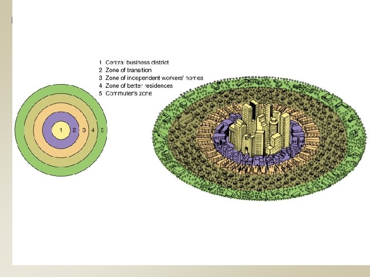 Concentric Zone Model 