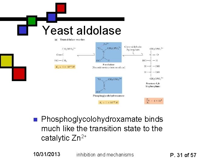 Yeast aldolase n Phosphoglycolohydroxamate binds much like the transition state to the catalytic Zn