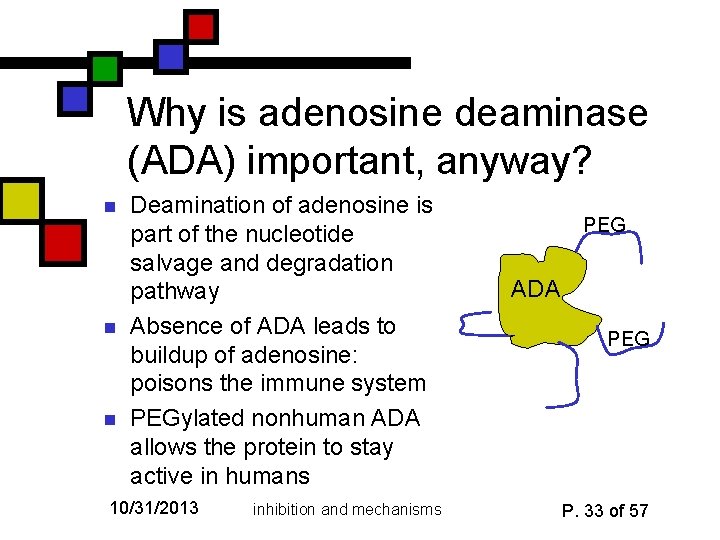 Why is adenosine deaminase (ADA) important, anyway? n n n Deamination of adenosine is