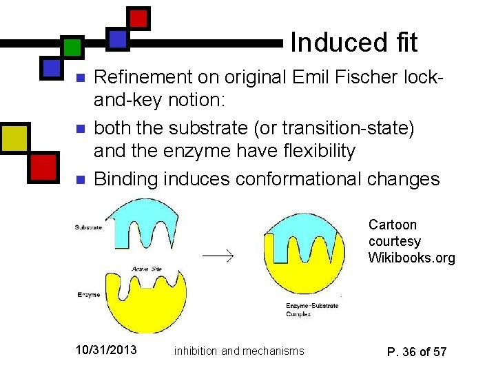 Induced fit n n n Refinement on original Emil Fischer lockand-key notion: both the