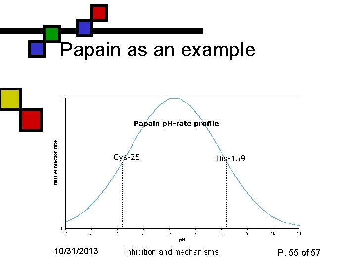 Papain as an example 10/31/2013 inhibition and mechanisms P. 55 of 57 