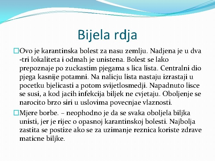 Bijela rdja �Ovo je karantinska bolest za nasu zemlju. Nadjena je u dva -tri