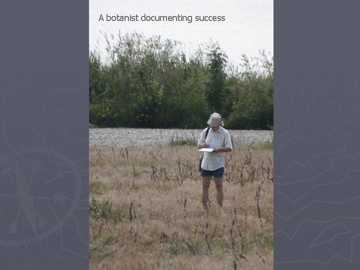 A botanist documenting success 