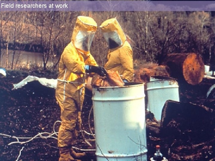 Field researchers at work 