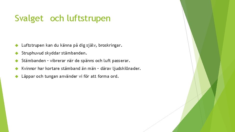 Svalget och luftstrupen Luftstrupen kan du känna på dig själv, broskringar. Struphuvud skyddar stämbanden.