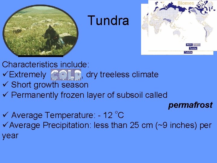 Tundra Characteristics include: üExtremely , dry treeless climate ü Short growth season ü Permanently