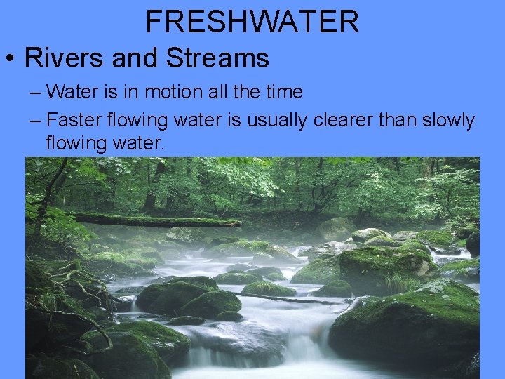 FRESHWATER • Rivers and Streams – Water is in motion all the time –