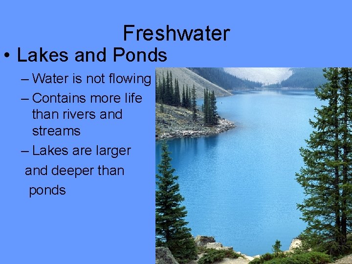 Freshwater • Lakes and Ponds – Water is not flowing – Contains more life