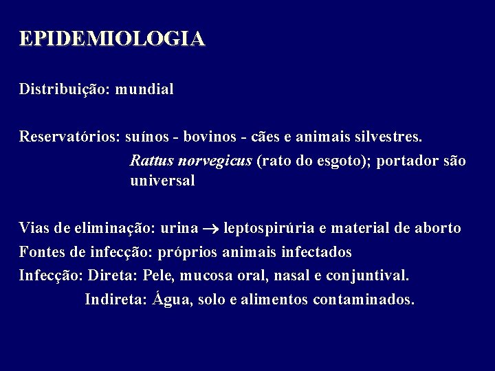 EPIDEMIOLOGIA Distribuição: mundial Reservatórios: suínos - bovinos - cães e animais silvestres. Rattus norvegicus