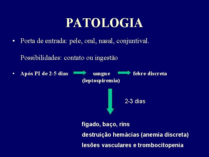 PATOLOGIA • Porta de entrada: pele, oral, nasal, conjuntival. Possibilidades: contato ou ingestão •