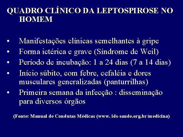 QUADRO CLÍNICO DA LEPTOSPIROSE NO HOMEM • • • Manifestações clínicas semelhantes à gripe